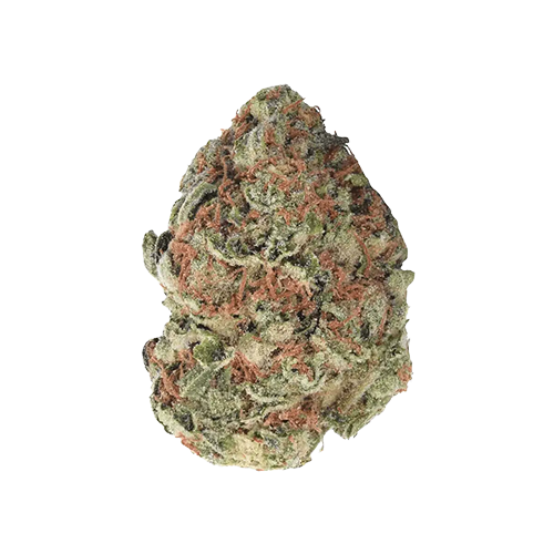 Gorilla Berry